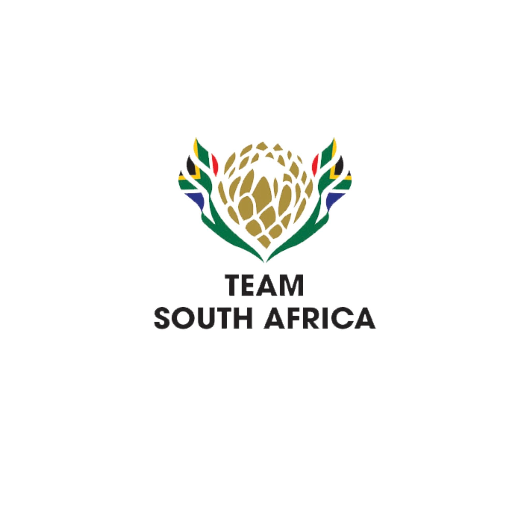 Team SA logo